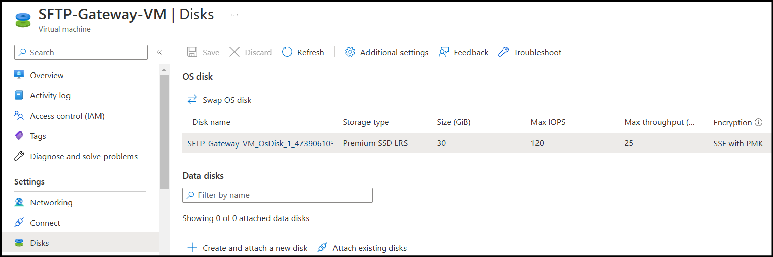 Disk Section